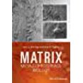 thumbnail image 1 of Matrix Metalloproteinase Biology, 1 of 2
