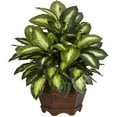 thumbnail image 2 of Nearly Natural 24in. Golden Dieffenbachia Artificial Plant, 2 of 8