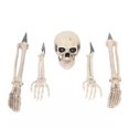 thumbnail image 2 of Skeleton & Posable, Skeleton Skeleton, Model Plastic Skeleton, Movable Joints Of Characters, Halloween Haunted House Props Decoration., 2 of 5