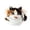 B, variant on ZHIYA Funny Cat Drawstring Makeup Bag Cute Cat Travel Makeup Bag Large Cosmetic Bag for Women Travel Toiletry Bag Easter Birthday Unique Gifts for Cat Lover,B