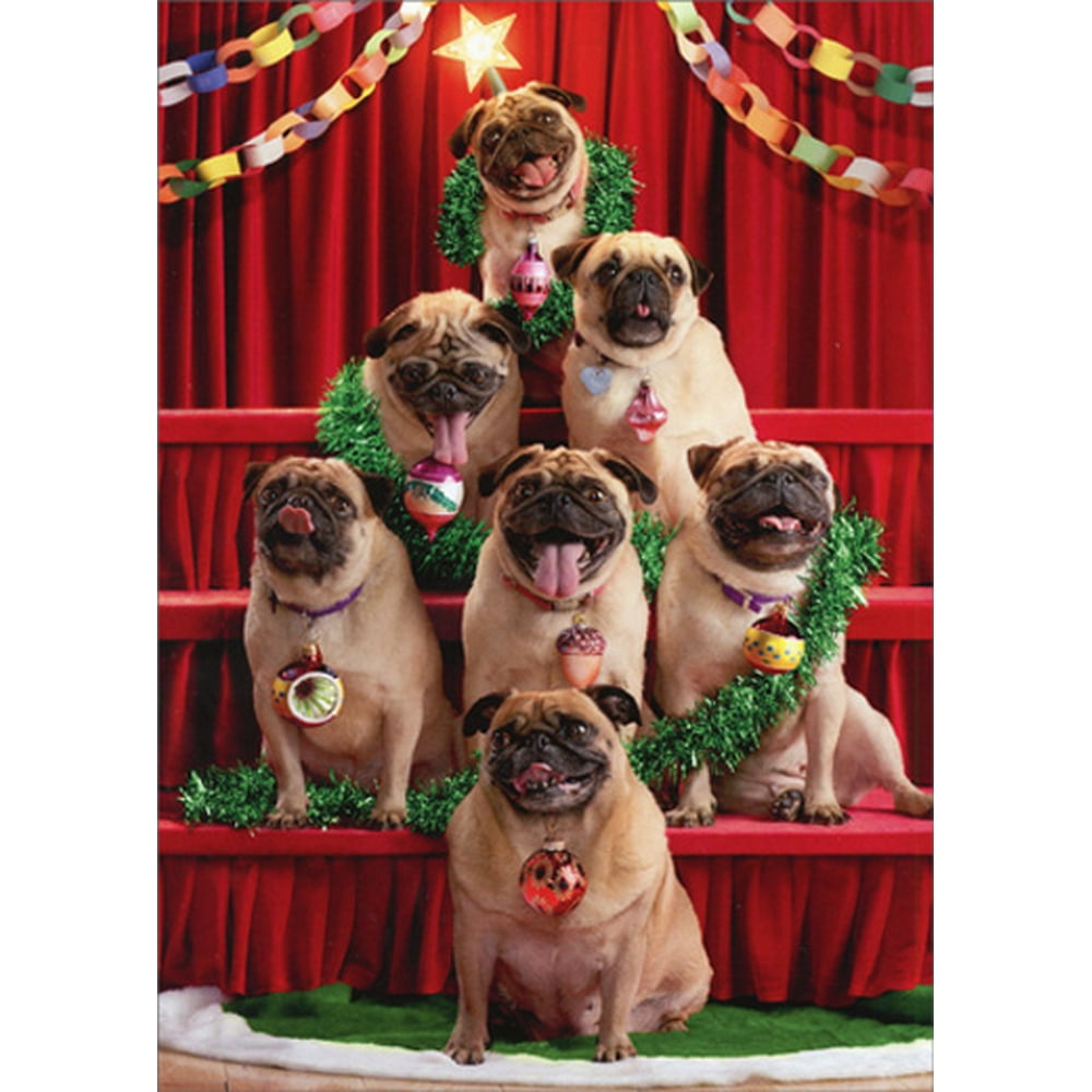 Pug Christmas Cards 