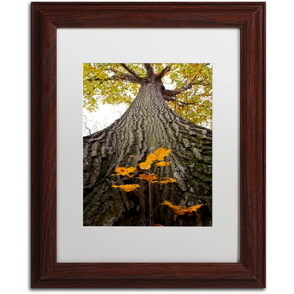 Trademark Fine Art "Aspiring to New Heights" Canvas Art by Kurt Shaffer, White Matte, Wood Frame