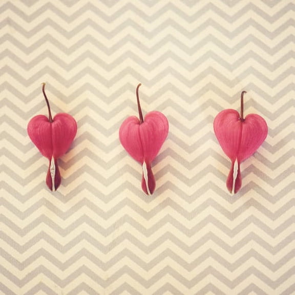 Marmont Hill "Chevron Hearts" by Robert Dickinson Painting Print on Canvas