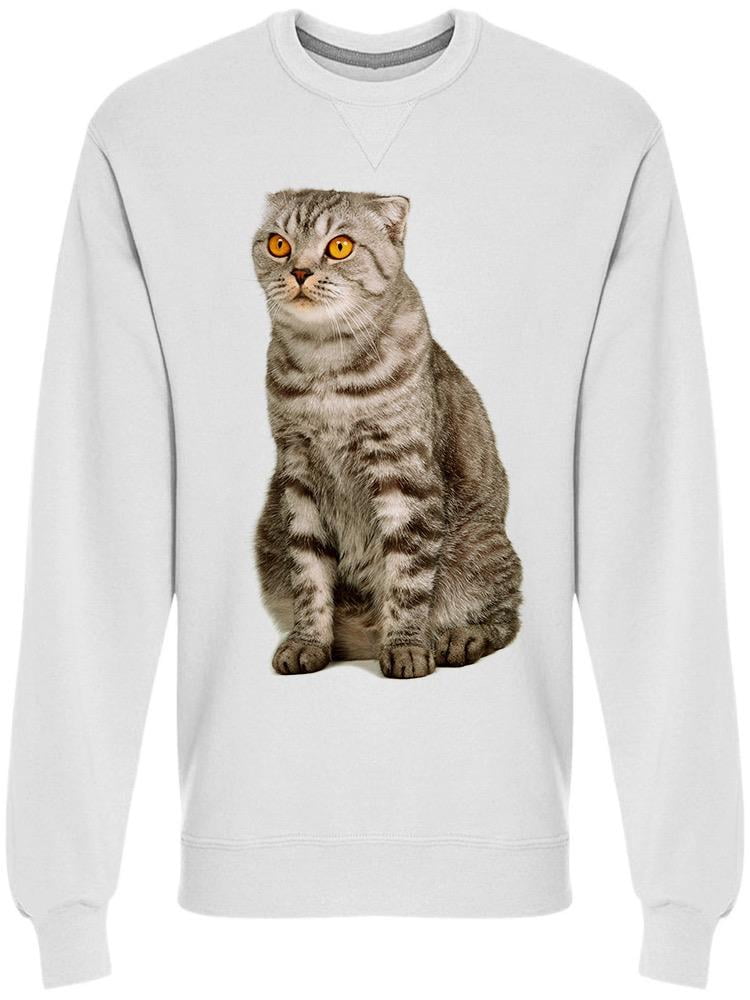 cat looking sweatshirt