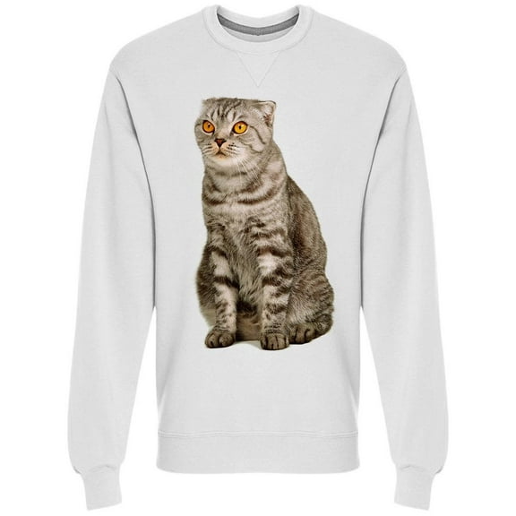 Serious Cat Looking Up Sweatshirt Men -Image by Shutterstock Men Sweatshirt, Male Large