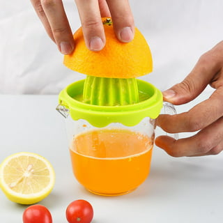 HUANSI Fruit Juicer Bottle 2 in 1 Lemon Juicer Infusion Water Citrus  Bottle, Infusion Technology Manual Juicer for Making Fresh Juice(650ML)