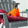 thumbnail image 6 of GF PET Scout Dog Sweater Apparel for Small Medium Large Dogs Pets, Orange, 2XS, 6 of 7