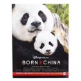 thumbnail image 3 of Libro National Geographic Kid's Just Joking +6 años, 3 of 3