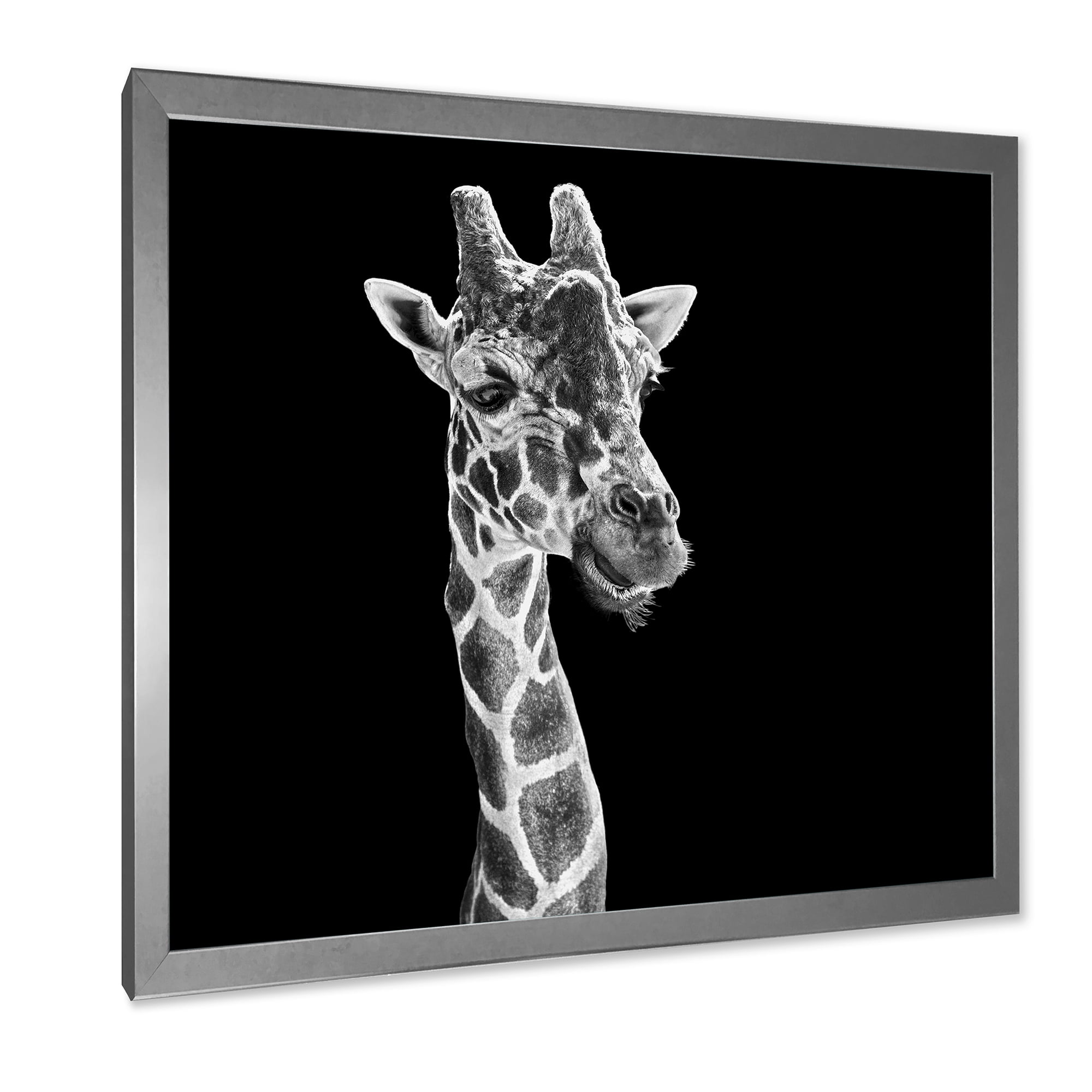 Designart 'Close Up Portrait Of A Giraffe On Black II' Farmhouse Framed Art Print