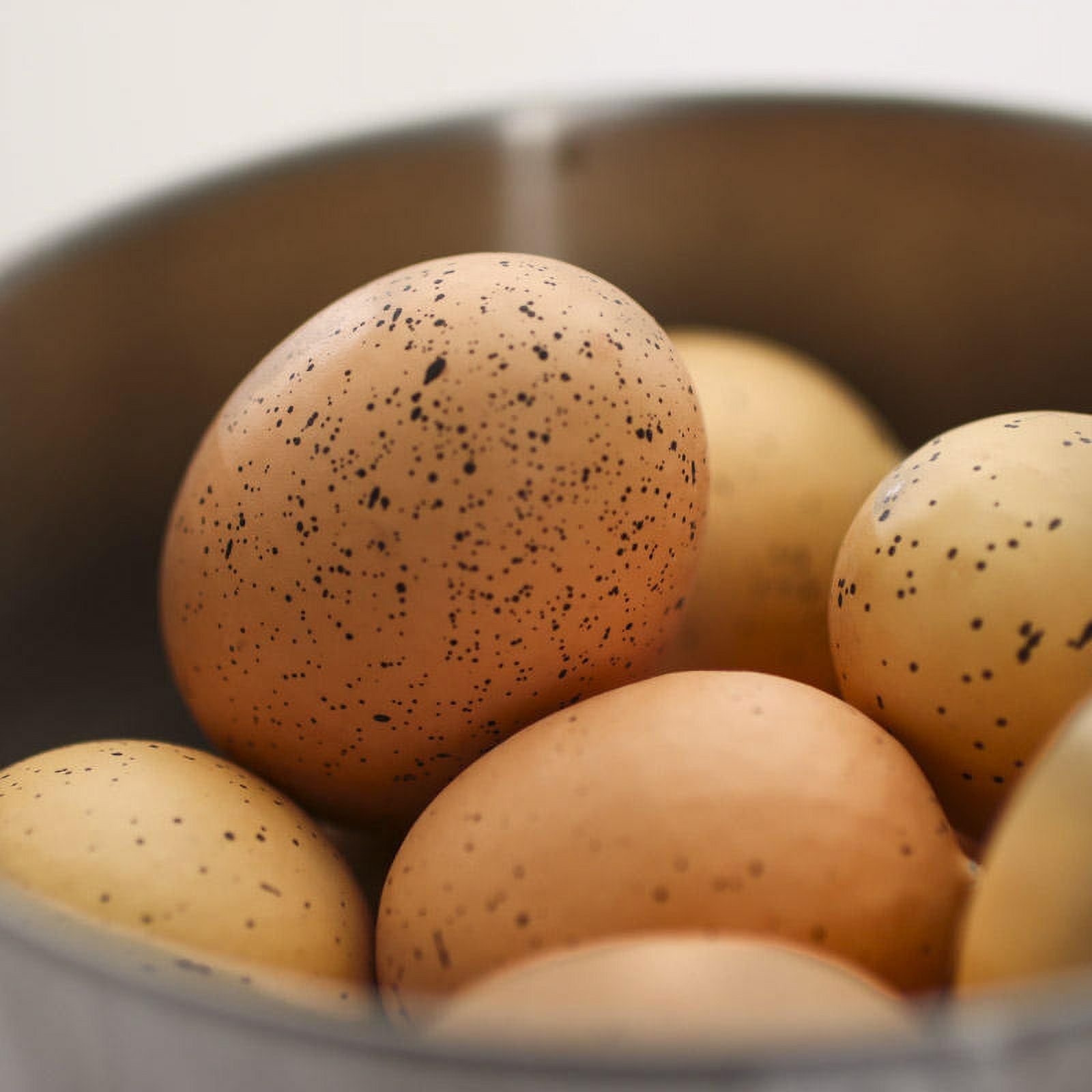 36 Assorted Brown Easter Egg Display Set: Speckled Eggs - Ideal for Easter Decor, Baby Showers, and Spring Displays