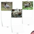 thumbnail image 5 of The Best Card Company - 10 Adorable Blank Dog Cards (4 x 5.12 Inch) - Pet Dog Breed Assortment, Boxed - Playful Pointers AM6297OCB-B1x10, 5 of 6