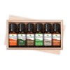 Plant Therapy Tis the Season Essential Oil Set Holiday Collection of 6 Essential Oils 10 mL (1/3 fl. oz.) each, 100% Pure, Undiluted, Therapeutic Grade