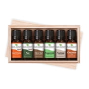 Plant Therapy Tis the Season Essential Oil Set Holiday Collection of 6 Essential Oils 10 mL (1/3 fl. oz.) each, 100% Pure, Undiluted, Therapeutic Grade