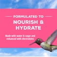 thumbnail image 3 of Hummingbird Nectar Pennington Electro-Nectar 1.89L Bottle, 3 of 9
