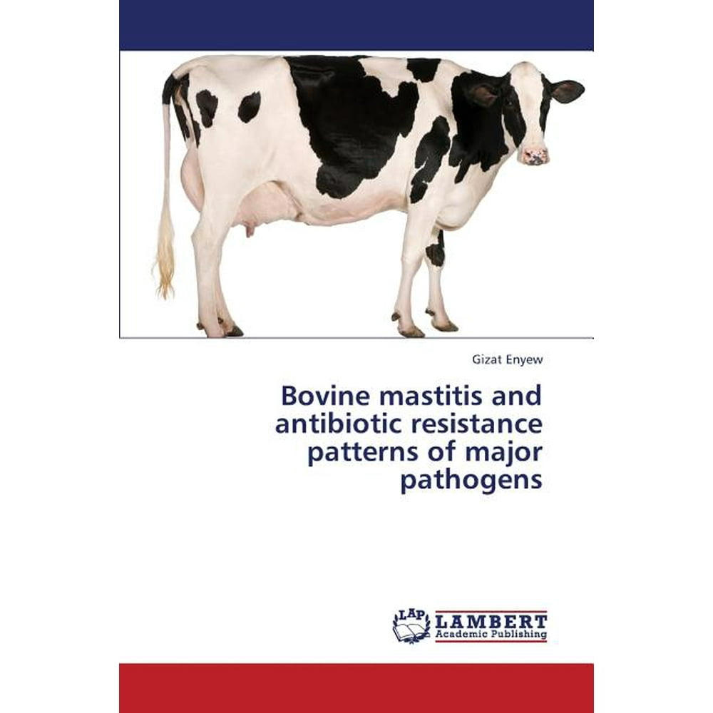 Bovine Mastitis and Antibiotic Resistance Patterns of Major Pathogens