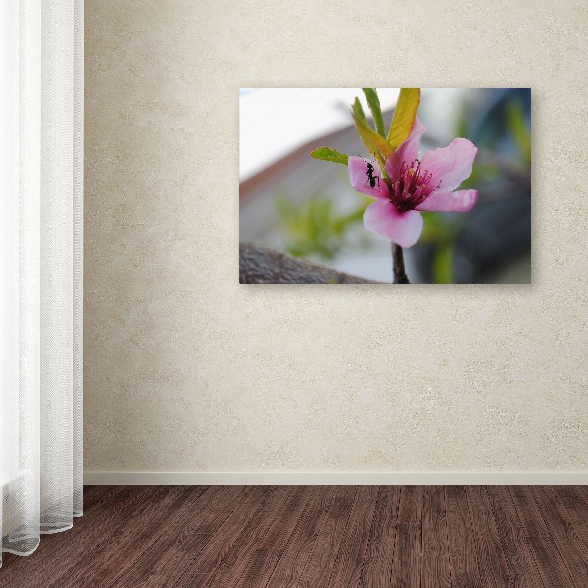Trademark Fine Art "Expressive Individuality" Canvas Art by Monica Mize