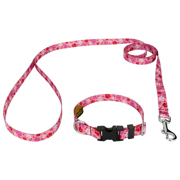 Country Brook Design Puppy Love Deluxe Dog Collar & Leash Affection