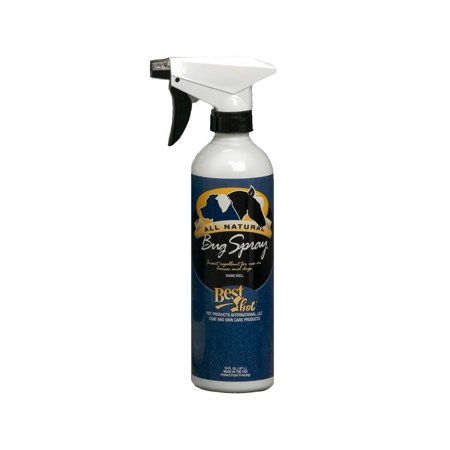 Best Shot Pet Natural Bug Spray (The Best Bug Spray)