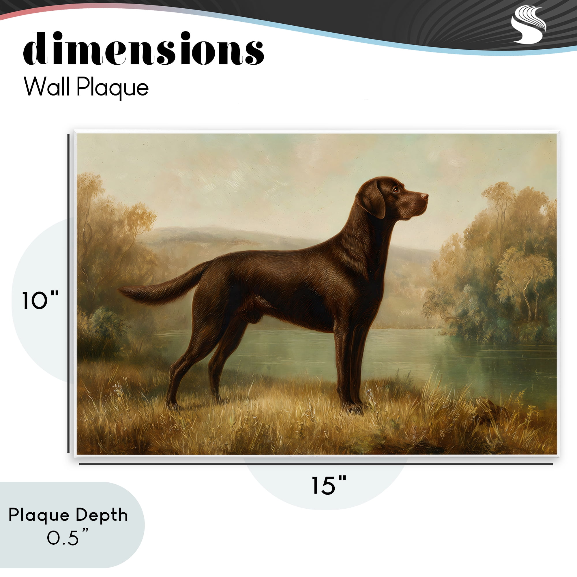 Stupell Industries Chocolate Brown Labrador Wall Plaque Art, design by Petal Prints Design