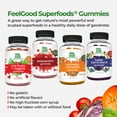 thumbnail image 6 of FeelGood Superfoods Vita Fruits and Veggies Supplements, Multivitamin Fruit and Vegetable Gummies, 25 Fruits and Vegetables, Watermelon and Apple Flavors, Vegan, Non-GMO, 60 Count, 6 of 7