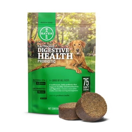 UPC: 0724089647368 | Lactoquil Digestive Health Probiotic Supplement for Dogs  75 Soft Chews