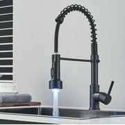feetron Kitchen Sink Faucet with LED Pull Down Swivel Sprayer Single Handle Stainless Steel