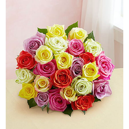 Mother's Day Fresh Flowers - Two Dozen Assorted Roses Bouquet (Best Price Dozen Roses)