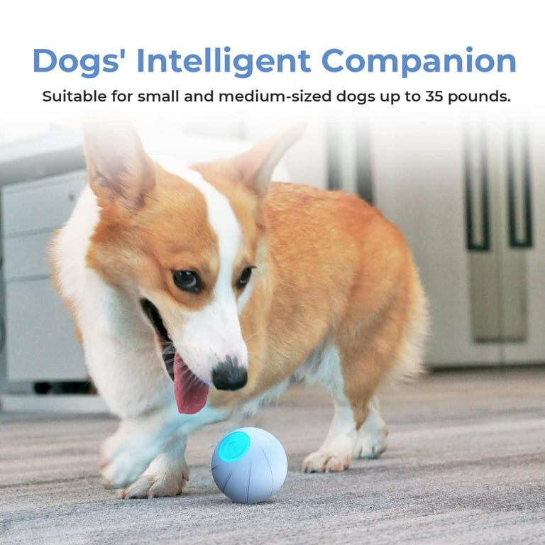 Saolife Interactive Dog Toys Dog Balls, Motion Activated Dog Toys, Wicked Ball, Automatic Moving Dog Ball Toys, Active Rolling Ball for Medium/Large