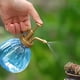 thumbnail image 5 of Pumpkin Plastic Spray Bottle Gardening Supplies Colorful Small Spray Bottle, 5 of 5