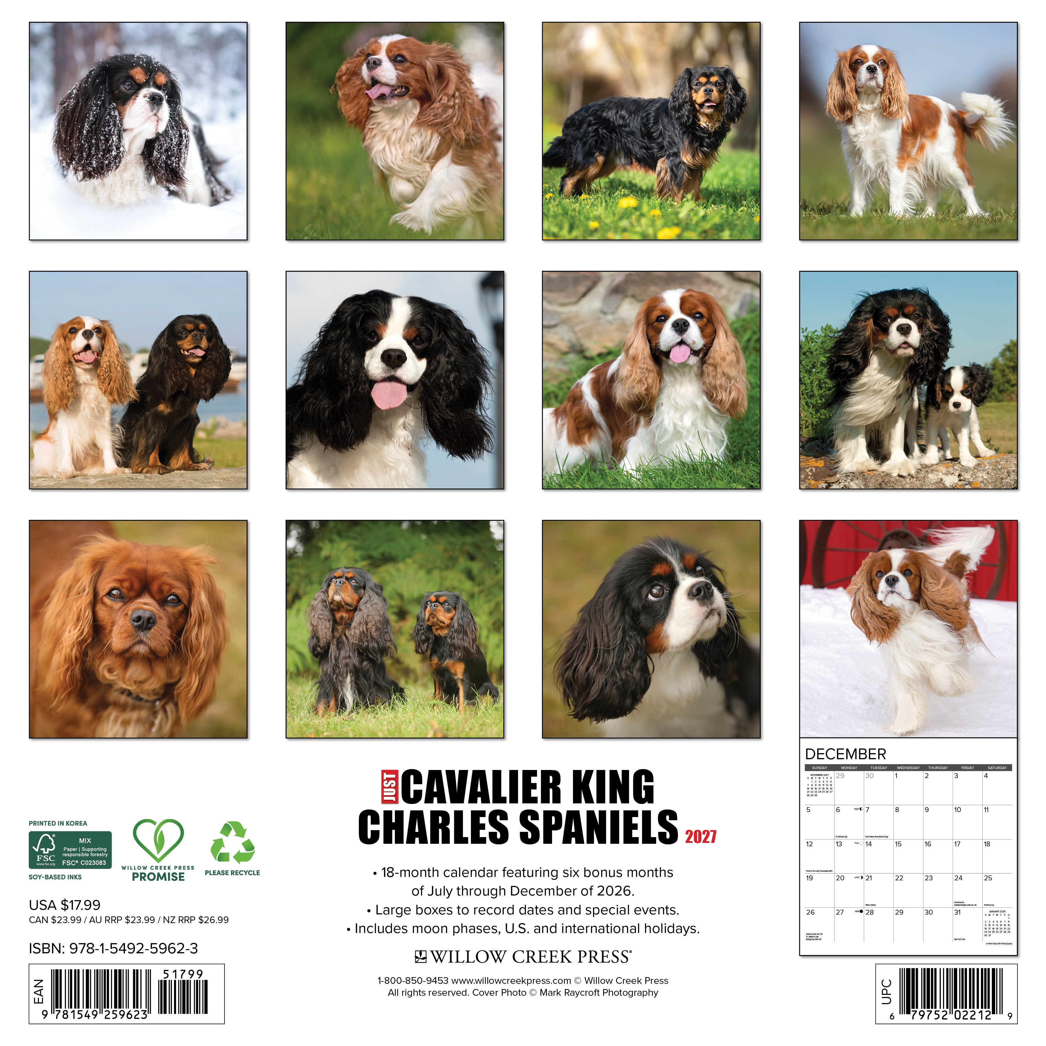 Willow Creek Press, Cavalier King Charles Spaniels 2027 Wall Calendar