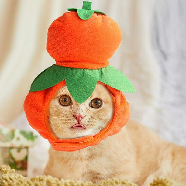 Bolbove Disfraz De Calabaza Para Mascotas Gatos Y Perros