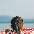thumbnail image 5 of 28 Uds. Pinzas para el cabello con brotes de frijol, horquillas con plantas divertidas, pinzas para el cabello con plantas y flores, pasador para el cabello con hierba, accesorios bonitos pa, 5 of 5