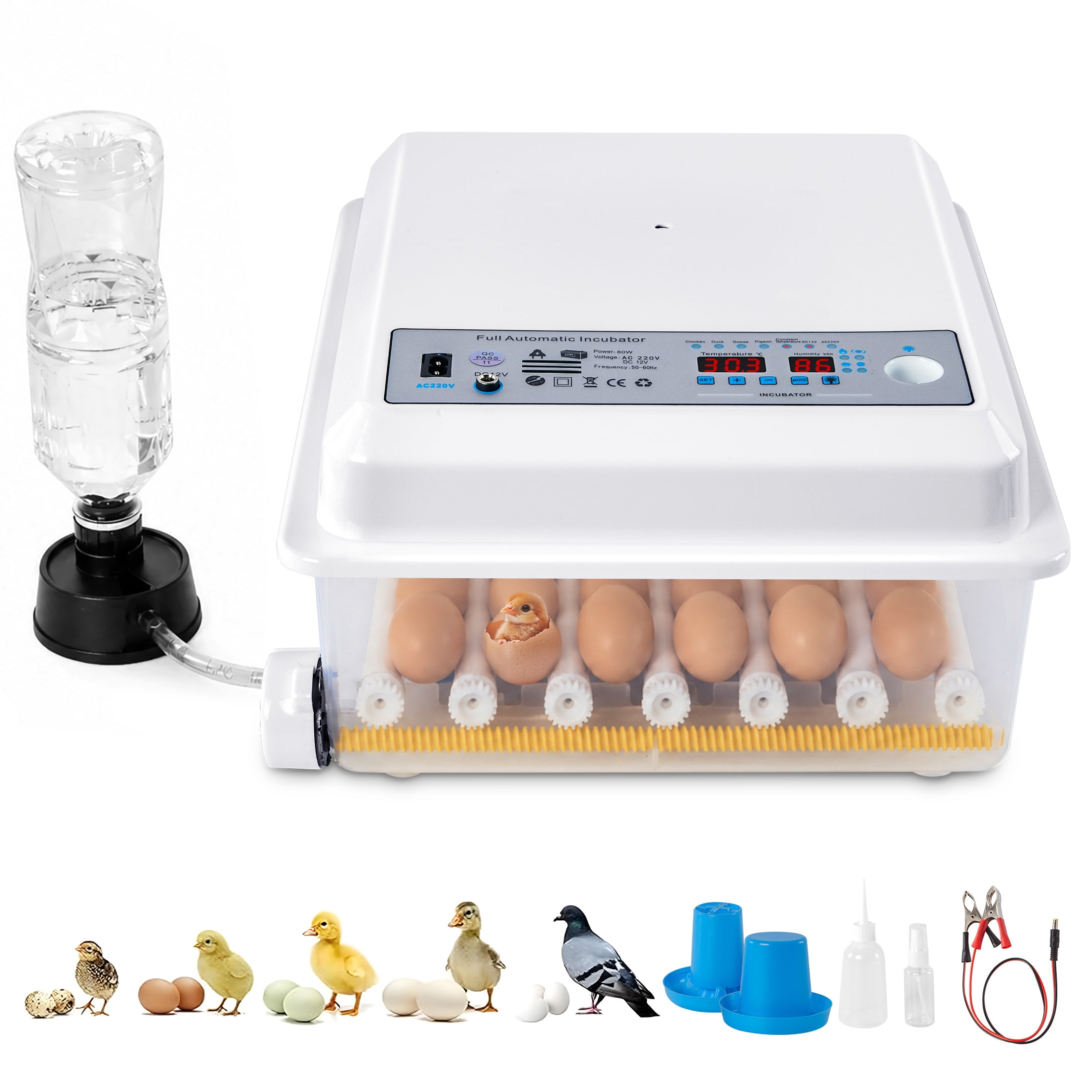 Little Giant White Digital Still Air Incubator - Walmart.com
