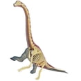 thumbnail image 3 of TEDCO 4D Vision Brachiosaurus - STEM Model, 3 of 3