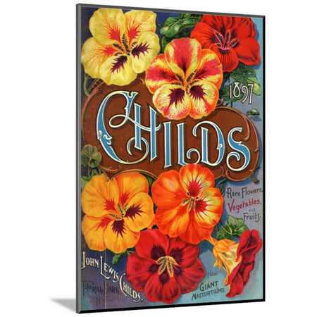 Seed Catalogues: John Lewis Childs, Rare Flowers, Vegetables, and Fruits. Floral Park, NY, 1897 Wood Mounted Print Wall