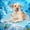 Blue, variant on Pawtasy Dog Cooling Mat Breathable Cooling Pad for Dog Cats Washable Pet Cooling Mat for Indoor Outdoor Pets with Non-Slip Bottom Summer Heat Relief Portable Small, 28x22 inch, Green