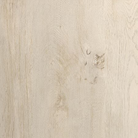Chalked Chestnut