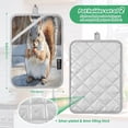 thumbnail image 3 of BZSMCE Pot Holder Oven Mitts Cooking baking Cute Squirrel Painting Creative Pattern Size:7x9.8in, 3 of 7