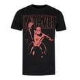 thumbnail image 1 of Spider-Man T-Shirt Homme Swing, 1 of 4