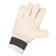 thumbnail image 1 of GOALIE GLOVES-ADULT LARGE SIZE 10, 1 of 1
