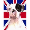 thumbnail image 1 of Carolines Treasures RDR3030GF Boxer Cooper avec Drapeau Britannique Union Jack Taille Jardin, 1 of 3