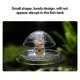 thumbnail image 3 of Planta de peces de acuario Tanque transparente Trampa para caracoles Catcher Plants Planaria Pest Catch Leech Box Herramienta de limpieza Herramientas de limpieza de acuarios transparente 8x6cm Greeniant PT0607-02B, 3 of 6
