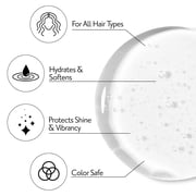 Herbatint Detox Shampoo - Revives & Purifies Scalp & Hair - Removes Buildup, Oils & Hard Water Residue - Free of Silicones, Parabens, SLS & SLES - Infused with Zeolite - 8.8 fl oz