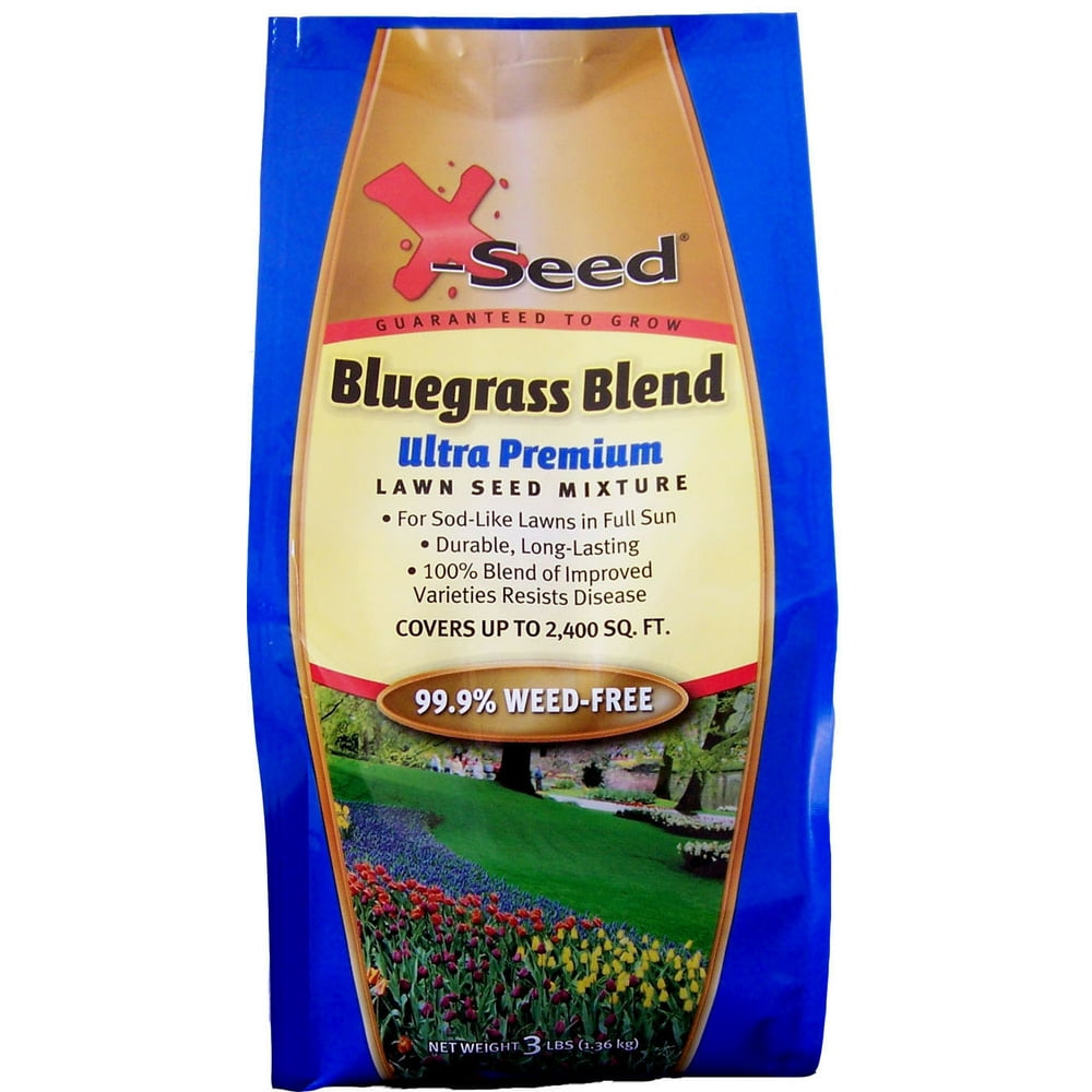 XSeed 440AS0102UC3 3 Lb Ultra Premium Bluegrass Blend Lawn Seed