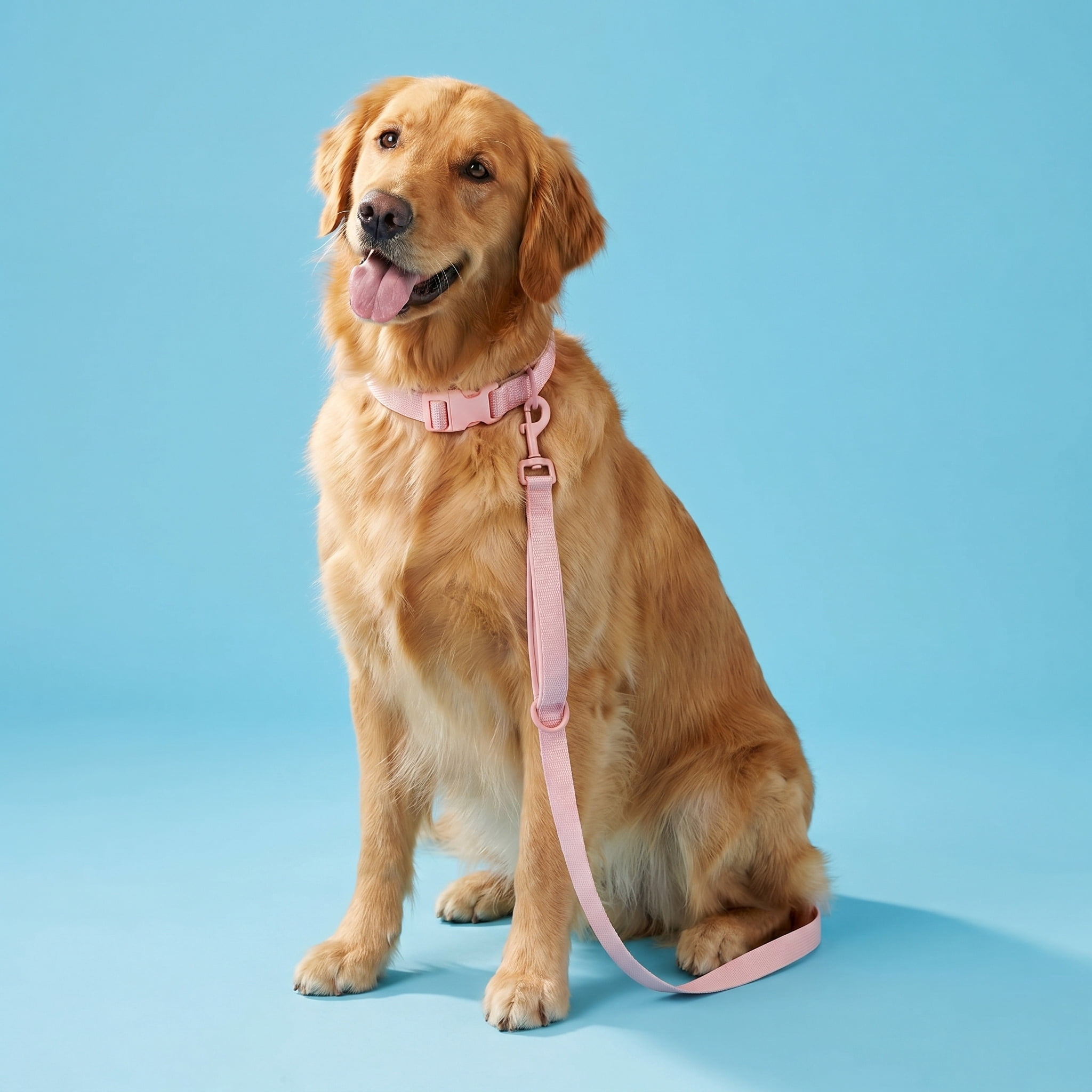Vibrant Life Neoprene Cushioned Adjustable Dog Collar, Soft Pink, Large