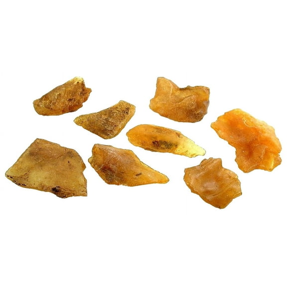 46.4 Gram 7  Copal Amber Crystal Specimen Cabochon Gem Rough ACR1/1323