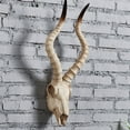thumbnail image 2 of Skull Sheep Head Wall Sculpture 3D Head for Room , C 56.5x21.5x13cm, 2 of 8