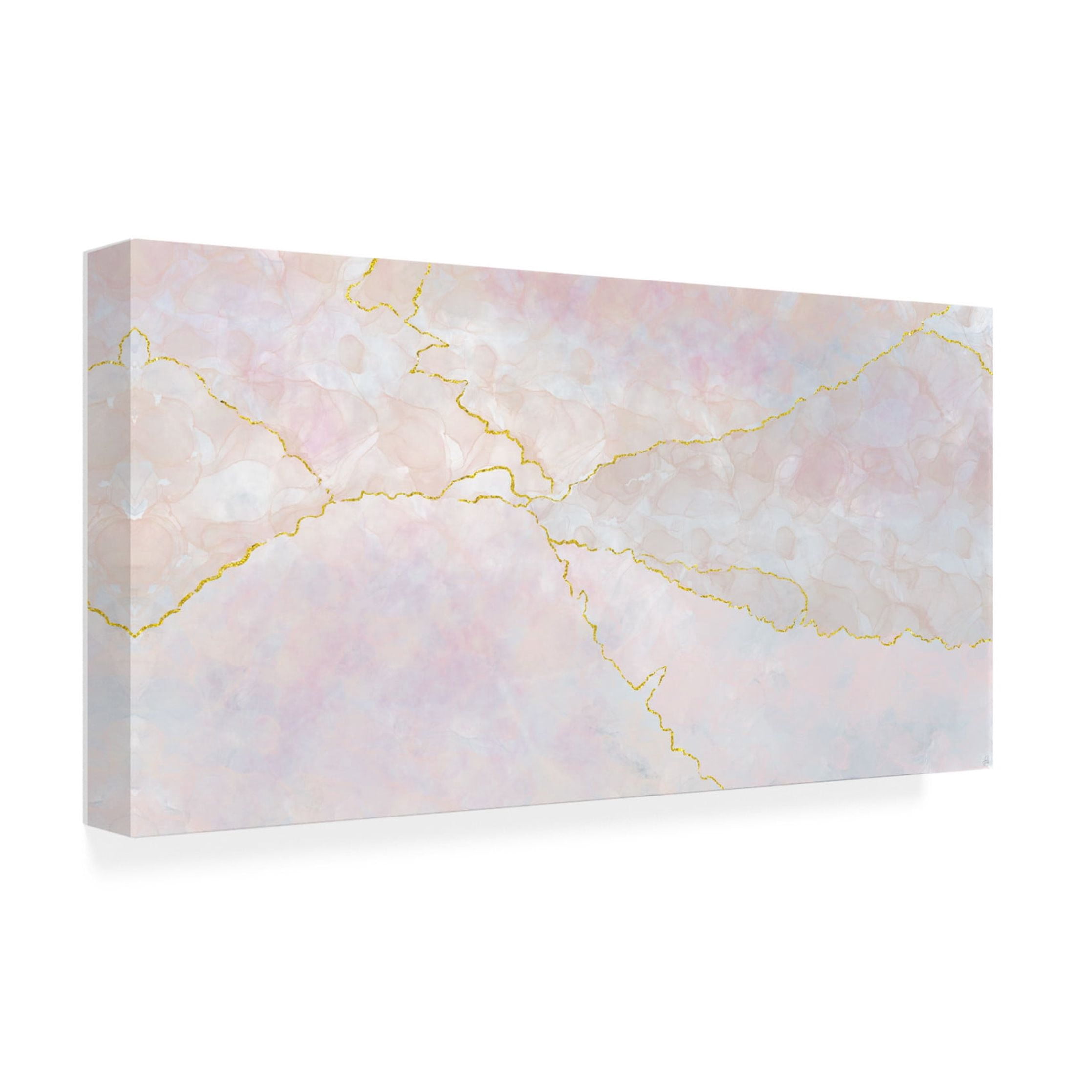 Canvas Wall Art - Line and Brush 'Blush N Gold' Wall Art for Living Room, Bedroom, or Office Décor by Trademark Fine Art - 47 x 24 Inches