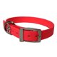 thumbnail image 2 of Collar para Perro Ajustable Sencillo Decora-T 3/4" Talla M Color rosa, 2 of 2