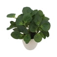 thumbnail image 3 of Mainstays 11-Inch Artificial Peperomia Plant in White Ribbed Glazed Ceramic Pot, 3 of 7